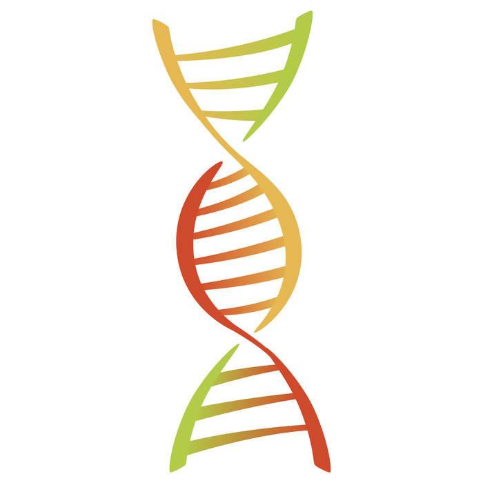Dna 分子标志，遗传元素eps,ai矢量模版下载