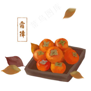 霜降秋天节气柿子手绘