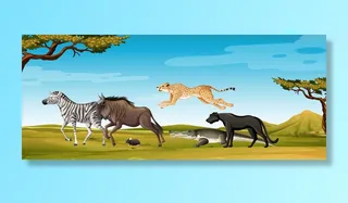 小组在森林场面的野生非洲动物