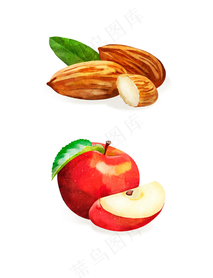 手绘杏仁 苹果 水果