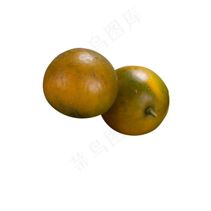 两个美味多汁的桔子