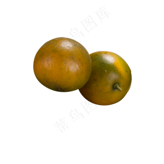 两个美味多汁的桔子