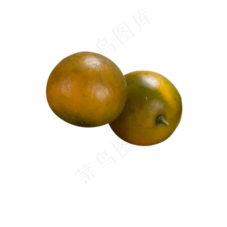 两个美味多汁的桔子