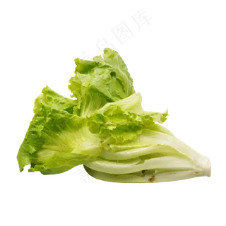 绿色蔬菜生菜 绿色蔬菜生菜