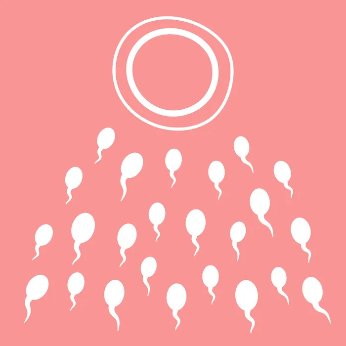 精子倾向于卵子。受精、怀孕、受孕的概念。妇科、妇女问题、不孕症、分娩、新生活。粉红色背景上的矢量图eps,ai矢量模版下载