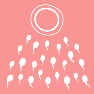 精子倾向于卵子。受精、怀孕、受孕的概念。妇科、妇女问题、不孕症、分娩、新生活。粉红色背景上的矢量图