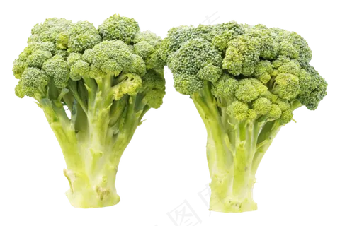 绿色蔬菜西兰花 绿色蔬菜西兰花