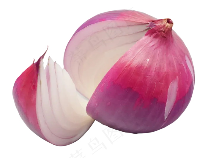 紫色的洋葱(2000X2000(DPI:300))