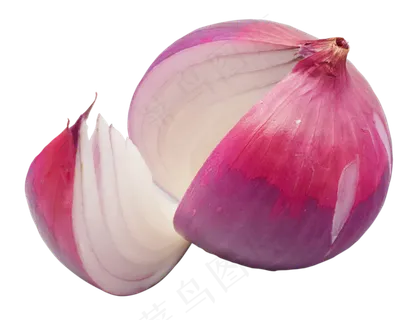 紫色的洋葱