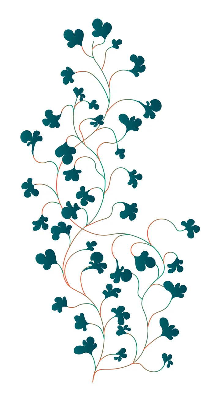 攀爬常春藤植物，叶子茂盛，孤立的室内植物用作室内装饰。植物、热带和异国情调的装饰品的生长。园艺和修剪植物学。平面样式的矢量