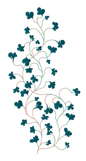 攀爬常春藤植物，叶子茂盛，孤立的室内植物用作室内装饰。植物、热带和异国情调的装饰品的生长。园艺和修剪植物学。平面样式的矢量