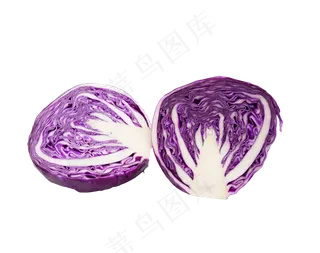 紫色紫包菜食材