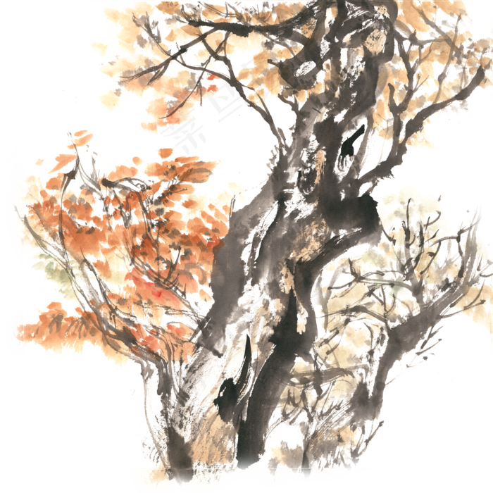 秋天的树木水墨画PNG免抠素材(1125X2436(DPI:72))psd模版下载