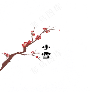 小雪节气下雪梅花