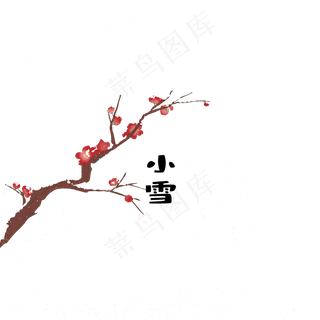 小雪节气下雪梅花