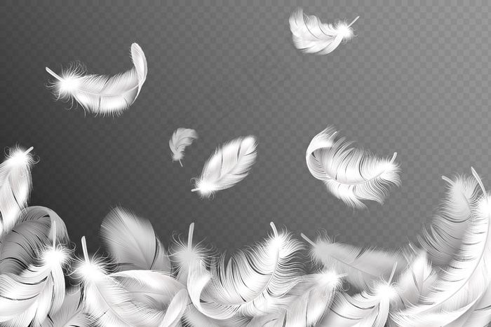 白色羽毛背景。飘落飞舞的毛茸茸的天鹅，鸽子或天使翅膀上的羽毛，柔软的鸟羽毛。时尚宣传单,DM传单概念