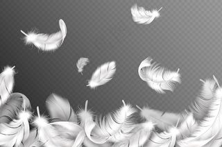 白色羽毛背景。飘落飞舞的毛茸茸的天鹅，鸽子或天使翅膀上的羽毛，柔软的鸟羽毛。时尚宣传单,DM传单概念