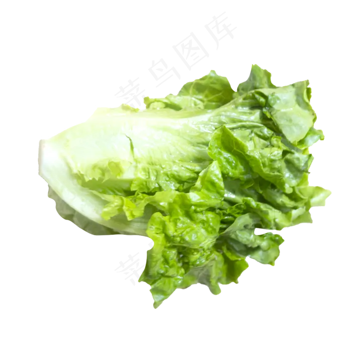 绿色生菜(2000X2000(DPI:300))