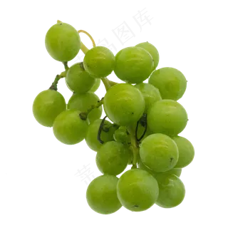 绿色圆形青葡萄
