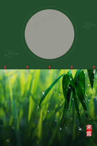 二十四节气寒露传统节气