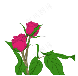 七夕节手绘红色玫瑰花