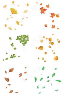 秋天落叶树叶合集