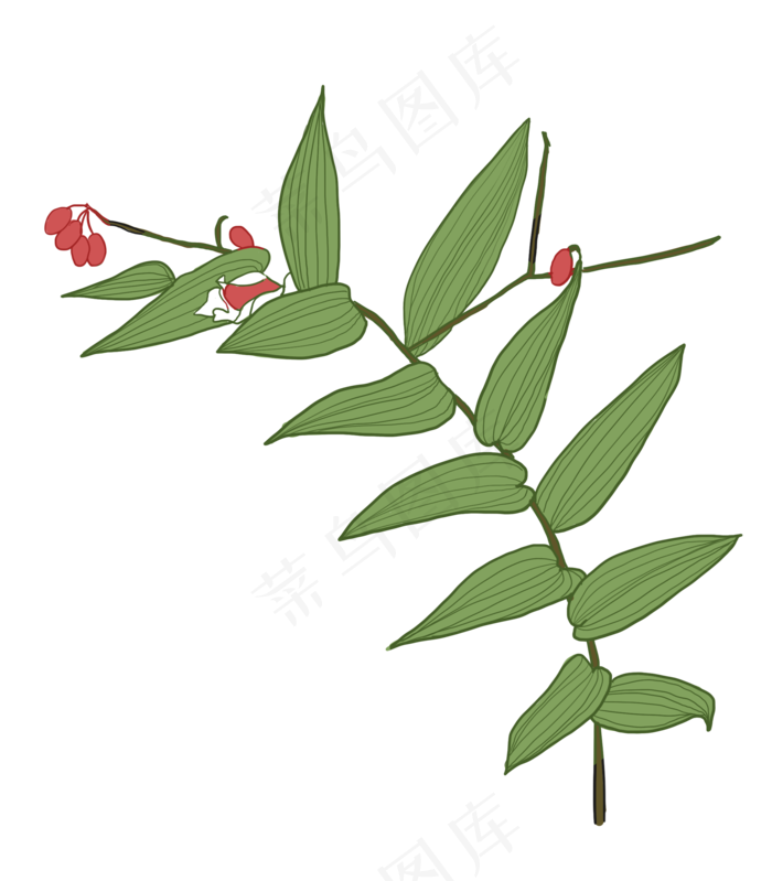 绿色植物手绘装饰(2113X2412(DPI:300))psd模版下载