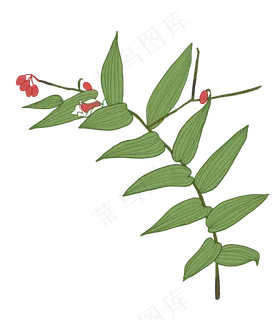 绿色植物手绘装饰