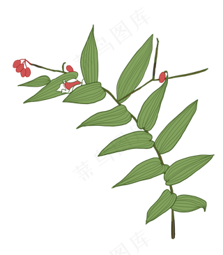 绿色植物手绘装饰