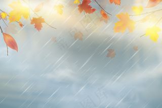 大自然秋天的背景是天空中飘落的红、黄、橙、褐的枫叶。