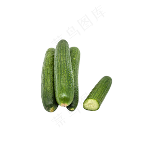 绿色黄瓜食材