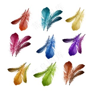 彩色柔软蓬松鸟类羽毛插图，红色、绿松石色、黄色、洋红色、蓝色、紫色、橙色、绿色、棕色，孤立于白色背景上