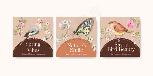 广告模板集与鸟类和春天的概念