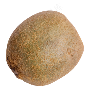 一个水果猕猴桃