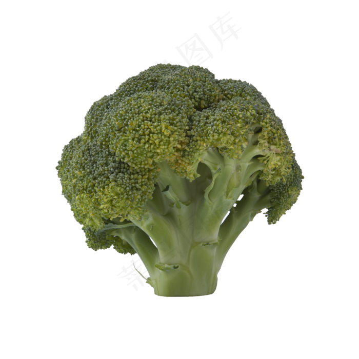 西兰花（png免抠）(2000X2000(DPI:72))psd模版下载