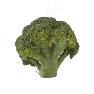 西兰花（png免抠）