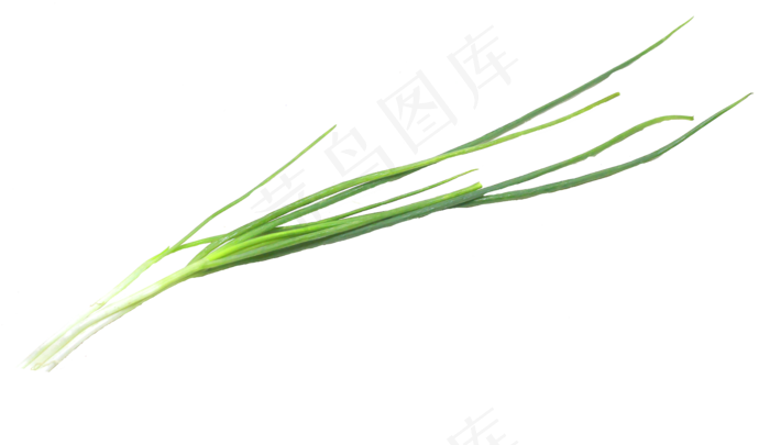 食材蔬菜免扣(2000X2000(DPI:300))