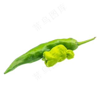 绿色配菜辣椒
