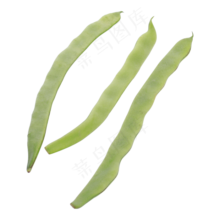 绿色的有机四季豆
