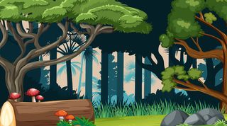 自然森林风景背景