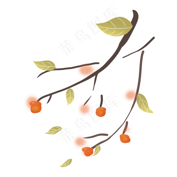 秋天丰收蔬果柿子农作物落叶