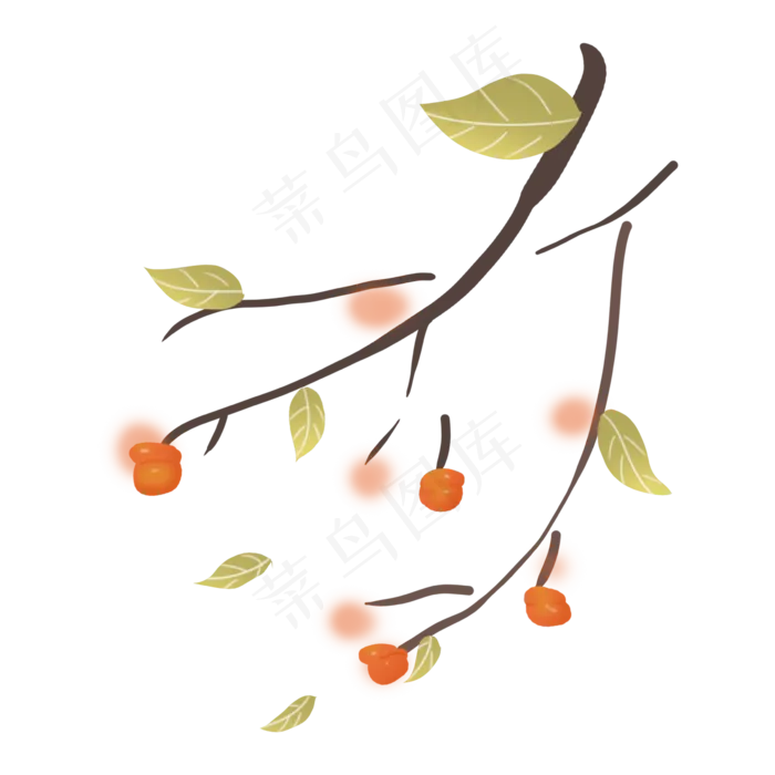 秋天丰收蔬果柿子农作物落叶(2362X2362(DPI:300))psd模版下载