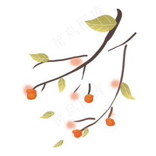 秋天丰收蔬果柿子农作物落叶