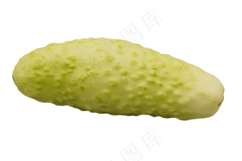 绿色蔬菜苦瓜