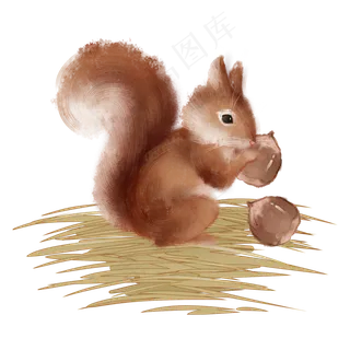 松鼠坚果秋天动物 松鼠坚果秋天动物