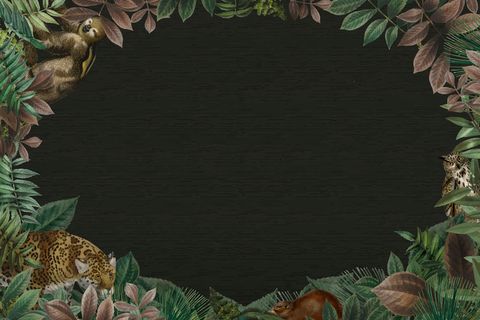 具有设计空间黑色背景的丛林椭圆框架矢量