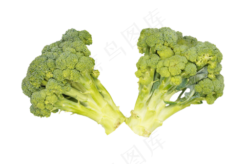 餐饮食材西兰花