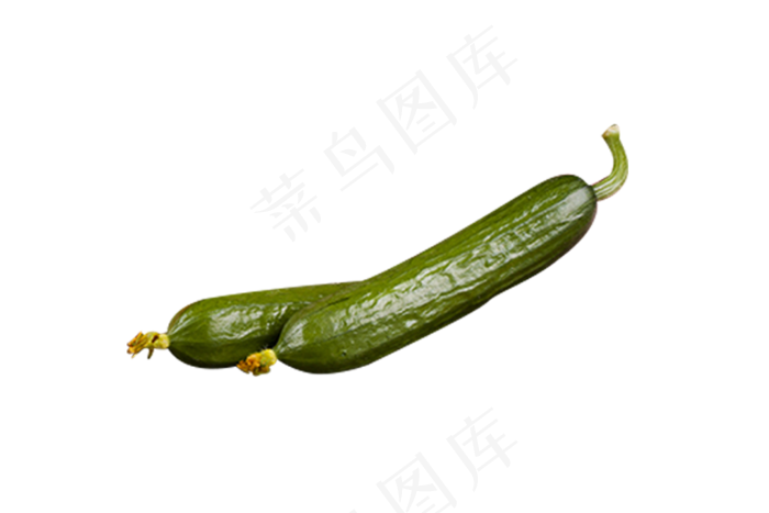 两根黄瓜蔬菜矢量图(1000X667(DPI:240))psd模版下载