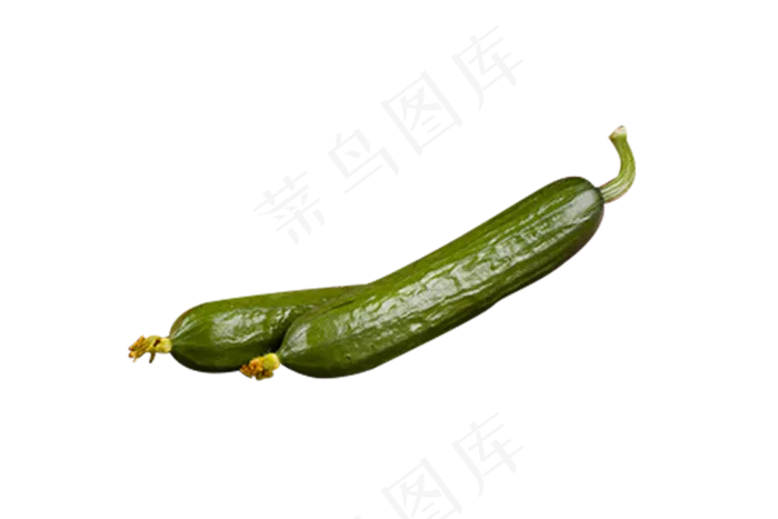 两根黄瓜蔬菜矢量图(1000X667(DPI:240))psd模版下载