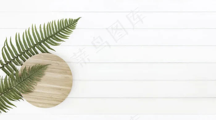 蕨类植物叶子，在白色的木板上圈上木板。